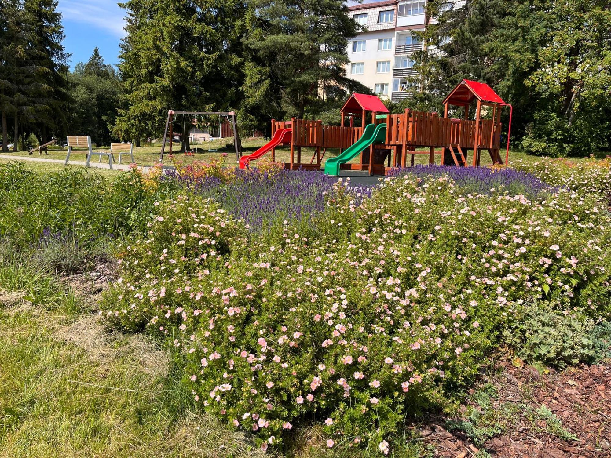 Cozy Apartment By The Forest Tatranská Štrba Eksteriør billede